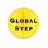  GLOBAL STEP